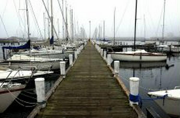 VUGGENDE LÆSESKJUL.   Foto: Pelle Rink 