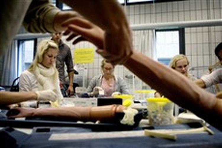 Inden de studerende selv skal lægge arm til, bliver der øvet i at lægge drop på gummiarme. Men nu skal der spares på den slags klinisk undervisning, som er meget dyr.   Foto: Thomas Borberg 