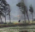 En vietnamesisk bonde flygter i læ efter at have tilset sin mark nær landsbyen Hua Loc. - Foto: AP 