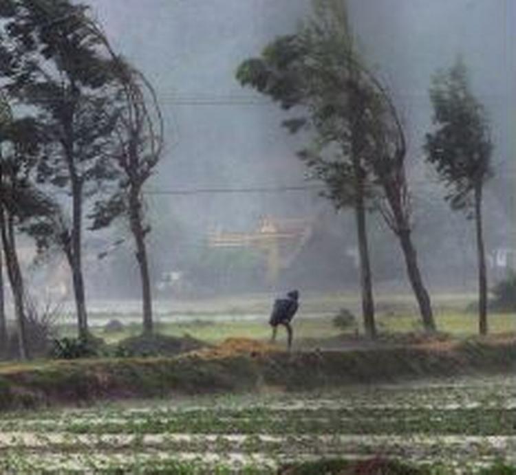 En vietnamesisk bonde flygter i læ efter at have tilset sin mark nær landsbyen Hua Loc. - Foto: AP 