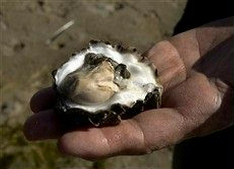 Foto: Peter Lassen/Skov- og Naturstyrelsen 