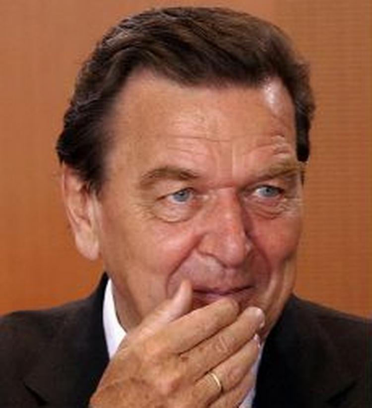 Er Schröder en slagen mand? Det mener de konservative. - Foto: AP 