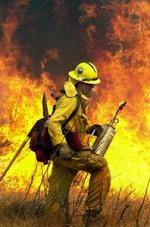 3.000 brandmænd kæmper mod flammerne i Califoniens skove. Foto: AP 