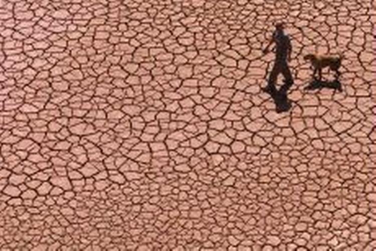 En mand lufter sin hund på et udtørret vandreservoir i Alcora i det østlige Spanien.   Arkivfoto: Fernando Bustamante/AP 