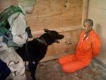 Billederne af mishandling af fanger i Abu Ghraib gik verden rundt. - Arkivfoto: AP 