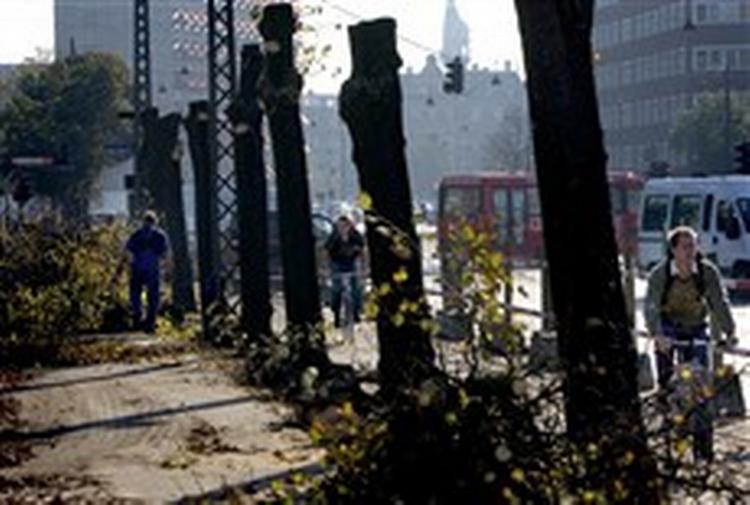Træerne langs søerne i det indre København er ved at blive fældet som del af Københavns Kommunes bestræbelser på at få 40 procents færre trafikuheld i 2012. - Foto: Finn Frandsen 