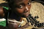 Dona Kijani fra Malawi viser nogle af de vandliljer, hun har hentet i floder fyldt med krokodiller. Hendes barn får diarre af liljerne, men de er det eneste føde i området. - Foto: AP 