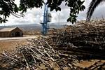 Læger Uden Grænser mener, at op mod 500 deporterede vestafrikanere i et ørkenområde ved grænsen mellem Marokko og Algeriet. 24 er døde. Foto: AP 