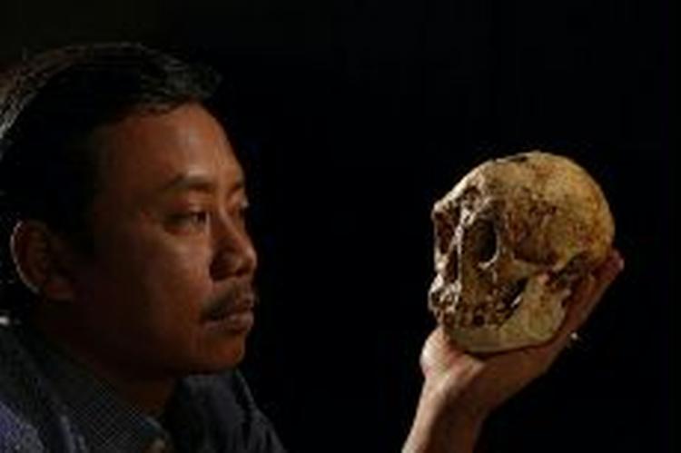 Den indonesiske arkæolog Thomas Sutikna viser kraniet fra en af de 'hobbitter', forskere har fundet i huler i Indonesien. Nye fund har bekræftet, at der er tale om en mini-udgave af mennesket. - Arkivfoto: AP 
