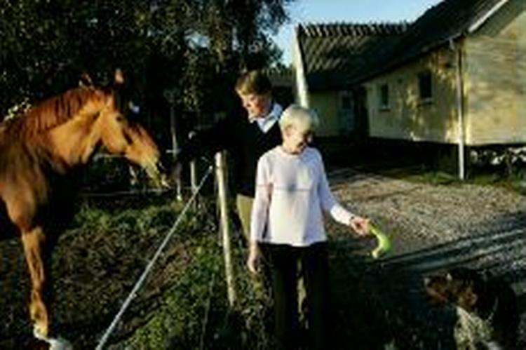 Da Jørgen og Hanne Schlawitz holdt Hannes 60-års fødselsdag, blev 40 gæster syge efter at have spist hindbær fra Polen. Det viser sig nu, at Fødevarestyrelsen fejlinformerede EU om de farlige bær. - Arkivfoto: Martin Lehmann 