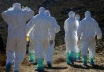 En thailænder er død af fugleinfluenza. Det er det 67. kendte menneske, som er omkommet af sygdommen - Foto: AP 