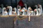 APTOPIX GERMANY BIRD FLU