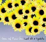 - Coverfoto 