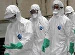 En papegøje er blevet testet positiv i Strobritannien. Det er endnu uvist om fuglen er smittet med den dødelige H5N1-virus - Arkivfoto: AP 