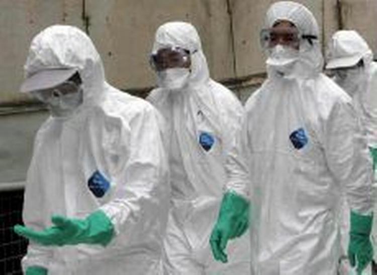 En papegøje er blevet testet positiv i Strobritannien. Det er endnu uvist om fuglen er smittet med den dødelige H5N1-virus - Arkivfoto: AP 