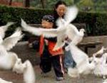 CHINA BIRD FLU