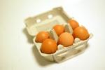 I Danmark har myndighederne i årevis advaret mod rå æg - ikke på grund af fugleinfluenza, men på grund af salmonella. - Arkivfoto: Nicolai Svane 