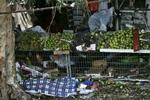 Mindst fem personer har mistet livet ved dagens angreb i kystbyen Hadera. - Foto: AP 