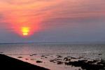 Solnedgang over Vadehavet. - Foto: Martin Bubandt-Jensen 