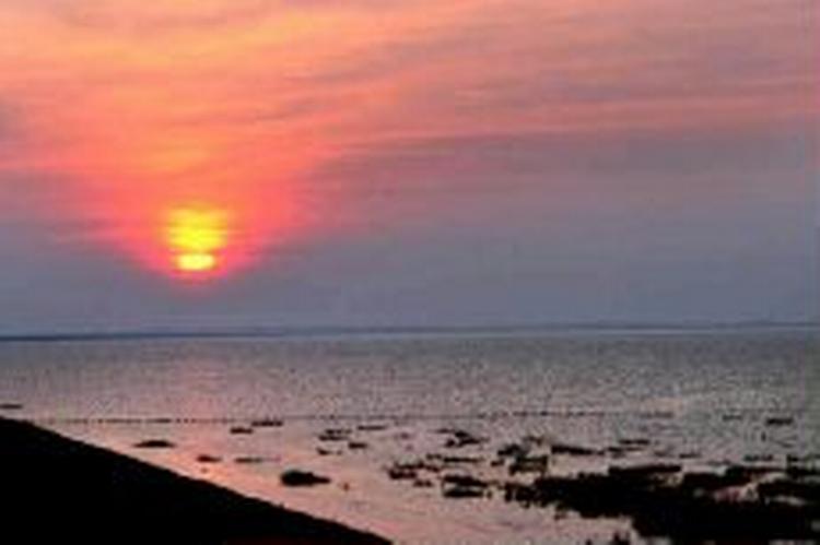Solnedgang over Vadehavet. - Foto: Martin Bubandt-Jensen 