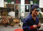 CHINA BIRD FLU