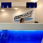 Sky Radio skal ikke regne med erstatning, meddeler Brian Mikkelsen. - Arkivfoto: Thomas Borberg 