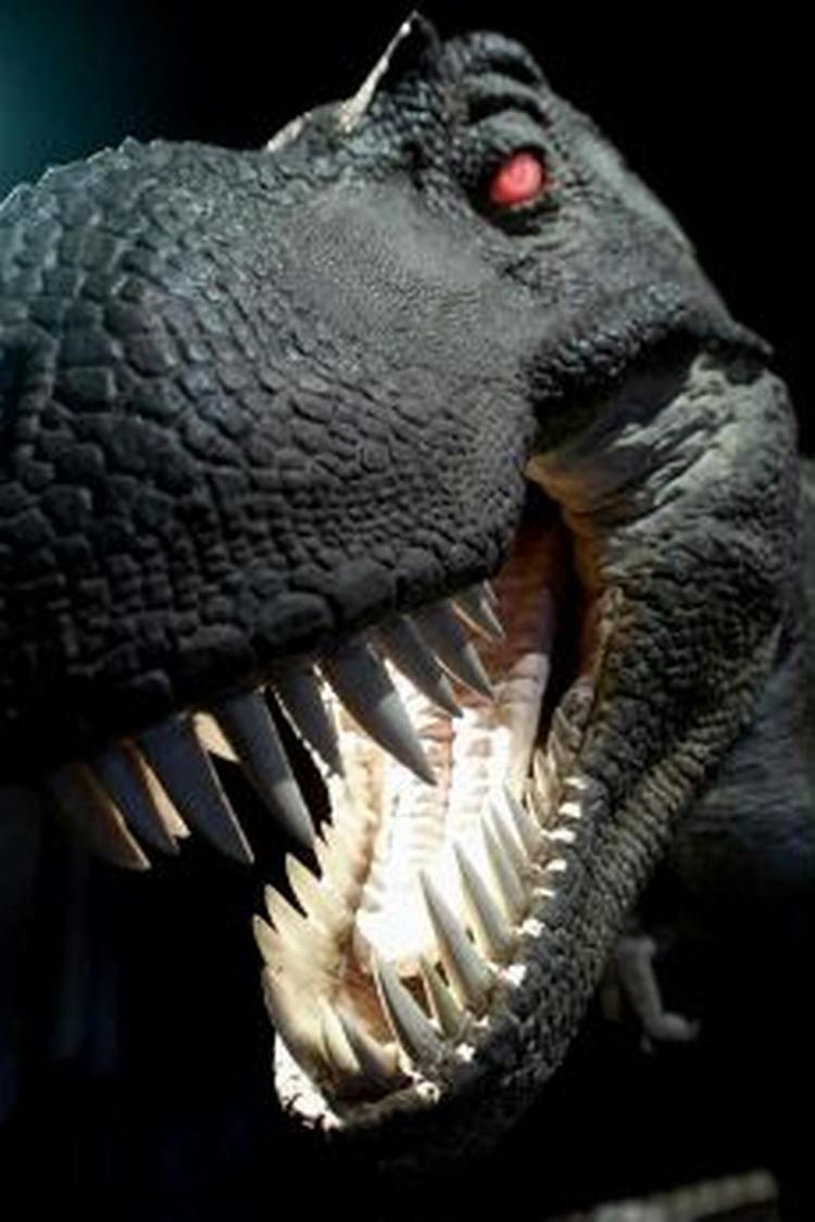 En ny drabelig type dinosaurus er blevet fundet i Argentina - Foto: Kim Nielsen 