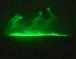 No name