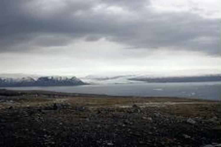 - Foto: Thomas Borberg 