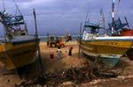 Oprydning på en strand i Sri Lanka efter tsunamien i juledagene. - Arkivfoto: AP 