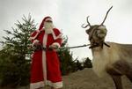 Her er julemanden i Zoologisk have i København for at besøge rensdyrene. Der er for mange af dyrene i Grønland. - Arkivfoto: Peter Hove Olesen 