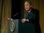 BUSH