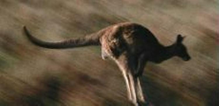 - Arkivfoto: AP 