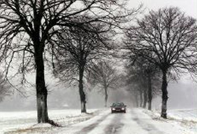 - Arkivfoto: Thomas Borberg 