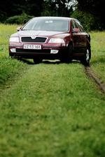 Skoda Octavia - ikke helt til tops i det samlede salg, men den mest foretrukne bil i to af amterne. Foto: Jan Grarup 