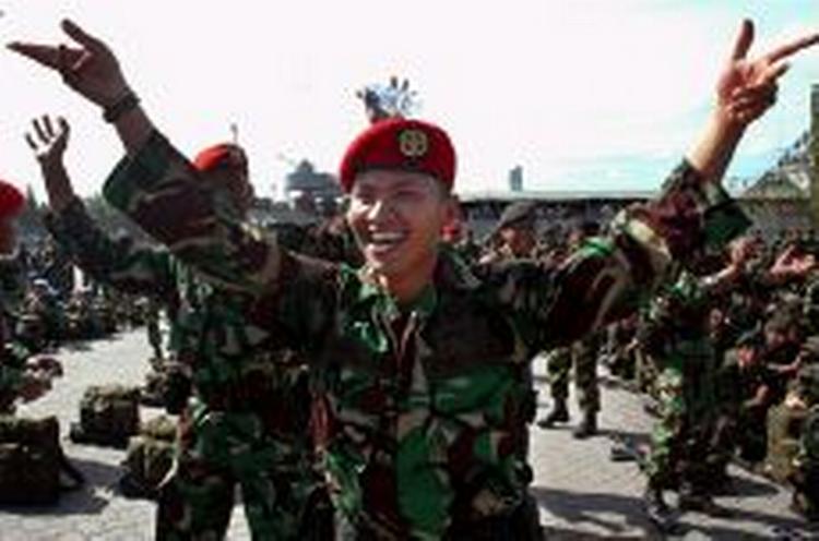 Iagttagere rapporterer, at fredsprocessen indtil videre er gået over al forventning. Her fejrer en soldat, at han skal hjem. - Foto: AP 