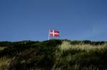 Der skal være mulighed for at kritisere og ytre sig om hvadsomhelst, mener Dansk Folkeparti. Grænsen for ytringsfriheden går ret præcist ved flaget, mener Dansk Folkeparti. - Arkivfoto: Pelle Rink 