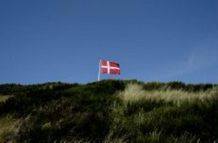 Der skal være mulighed for at kritisere og ytre sig om hvadsomhelst, mener Dansk Folkeparti. Grænsen for ytringsfriheden går ret præcist ved flaget, mener Dansk Folkeparti. - Arkivfoto: Pelle Rink 