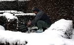 Lars Madsens forældres grav er en af de 300 grave i Fredericia, der blev skændet 24. december. »Det var en ekstremt hård besked at få«, siger han, der har svært ved at se motivet.   Foto: Lars Skaaning 