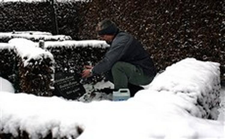 Lars Madsens forældres grav er en af de 300 grave i Fredericia, der blev skændet 24. december. »Det var en ekstremt hård besked at få«, siger han, der har svært ved at se motivet.   Foto: Lars Skaaning 
