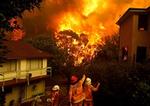 Australien kæmper mod omfattende skovbrande, der nærmer sig Sydney. - Foto: AP 