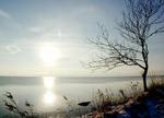 - Foto: Jan Steving 