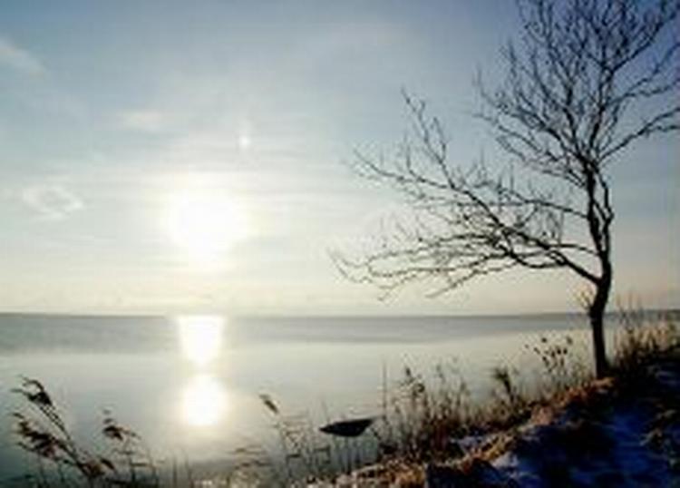 - Foto: Jan Steving 
