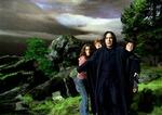 Fra venstre: Emma Watson som Hermione Granger, Rupert Grint som Ron Weasley, Alan Rickman som Professor Snape og Daniel Radcliffe som Harry Potter i "Harry Potter og fangen fra Azkaban". - PR-foto: Sandrew Metronome Filmdistribution 