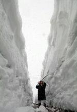 En indbygger i byen Tsunan, 250 km. nordvest for Tokyo, forsøger at skrabe sne. - Foto: AP 