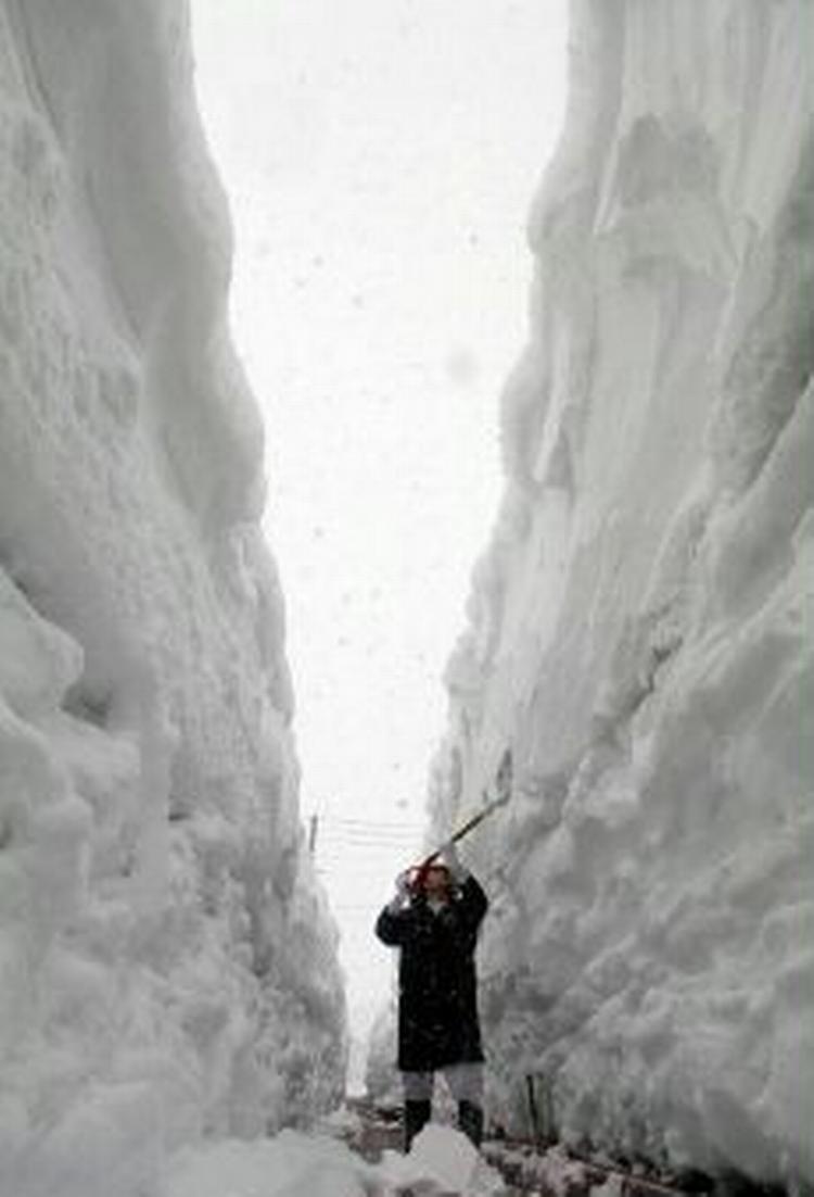 En indbygger i byen Tsunan, 250 km. nordvest for Tokyo, forsøger at skrabe sne. - Foto: AP 