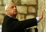 Ariel Sharon har været indlagt siden i onsdags. - Foto: AP 