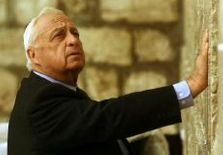 Ariel Sharon har været indlagt siden i onsdags. - Foto: AP 