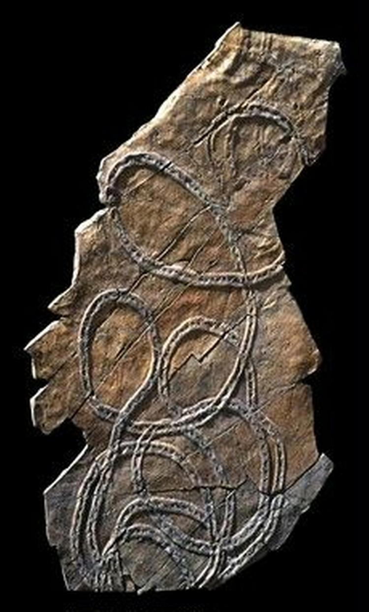 FOSSIL. Disse spor efter dyr, der pløjede gennem havbunden for 500 mio. år siden, vises lige nu på udstillingen  Spor i tiden  på Naturhistorisk Museum i Århus. Mon ikke Niels Stensen ville have fundet dem interessante.   Foto: Jens Rydell 