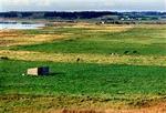 LOVNS BREDNING. Det er i dette landskab ved Limfjorden, handlingen i Ida Jessens nye roman finder sted.   Foto: Jørgen Nielsen 